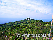 L'isola d'Ischia nella puntata di Linea Verde 6