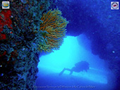 Ischia BioDiving weekend 10