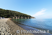 Spiaggia di San Montano 9