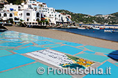 Il giro dell'isola d'Ischia via mare 79