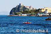 Il giro dell'isola d'Ischia via mare 105