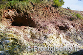 Ischia, Andar per sentieri 24