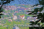 Ischia, Andar per sentieri 25