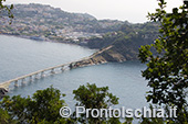 Ischia, Procida e Capri 3