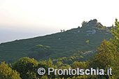 Escursioni a Ischia: tramonto al Monte Epomeo 27