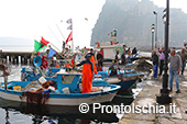 Ischia e il suo mare 7