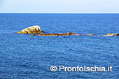 Le pietre dell'isola d'Ischia 2