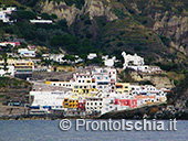 Pescaturismo a Ischia 20