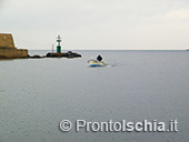 Pescaturismo a Ischia 68