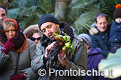 Visita guidata ai Giardini La Mortella 18