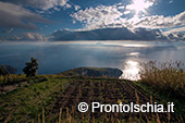 Camminare a Ischia nella natura 2