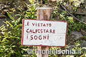 Ischia Bio Tenuta Del Cannavale 15