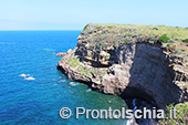 Ventotene, alla scoperta di un'isola 8