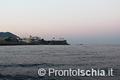 A pesca di lampughe sull'isola d'Ischia 4