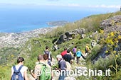 Hiking a Ischia 7