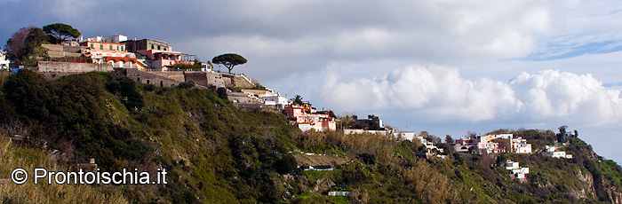 Il comune dell'isola d'Ischia con più primati